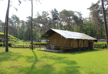 Tenda safari con veranda coperta, servizi igienici privati e scivolo in una radura erbosa nel bosco.