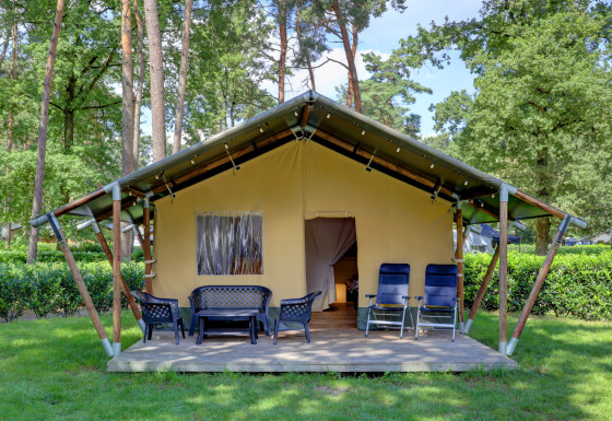 Tente safari avec terrasse, mobilier extérieur et chaises longues sur un camping en pleine forêt verte.
