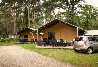 Safari telt ved Family park Goolderheide i Belgien med udendørs siddepladser og skov i baggrunden.