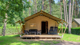 Safari tent with a covered porch, outdoor seating, and lush green forest surroundings for glamping fun.