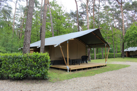 Tenda safari con veranda coperta e sedie immersa nella natura al Family park Goolderheide, Belgio.