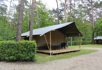 Tente safari avec terrasse couverte et chaises située en forêt au Family park Goolderheide, Belgique.