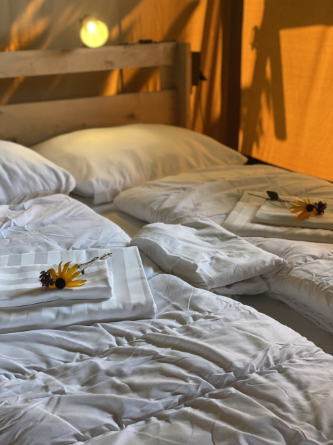 Binnenkant van een safaritent op Camping Dal van de Mosbeek, met opgemaakte bedden en bloemen op lakens.