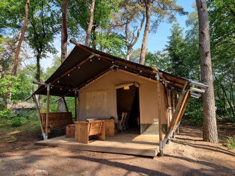 Safari-telt opstillet blandt træer i skoven med træmøbler på verandaen, perfekt til glamping.