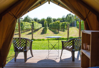 View from the Duo Lodge safari tent at Campsite de Boomgaard in Belgium, with chairs, table, and vineyards.