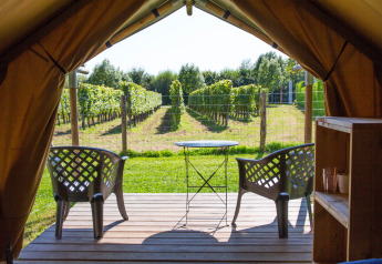 View from the Duo Lodge safari tent at Campsite de Boomgaard in Belgium, with chairs, table, and vineyards.