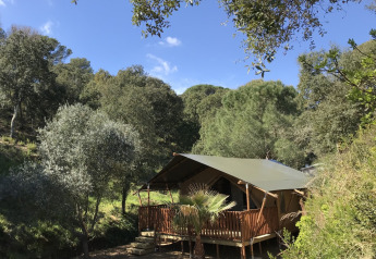 Safari-telt med egen terrasse og sanitære faciliteter beliggende midt i grønne træer og natur.