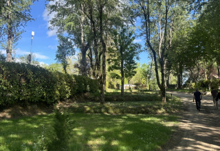 Bosrijk wandelpad in Les Rives de Courtes vakantiepark, Occitanie, Frankrijk, met zon en bomen.