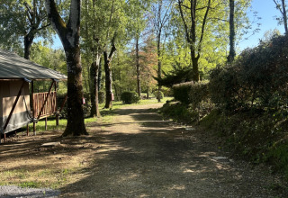 Grindweg met bomen en schaduwrijke hut in het vakantiepark Les Rives de Courtes, Occitanië, Frankrijk.