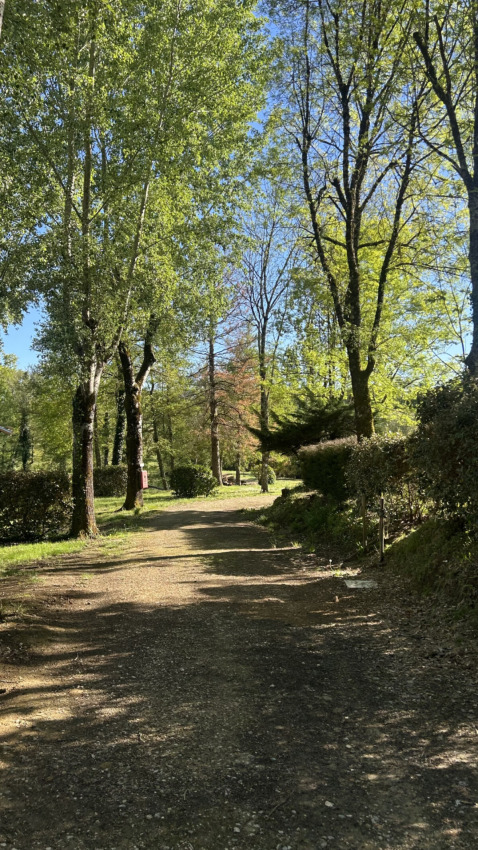 Wandelpad door het groen in vakantiepark Les Rives de Courtes, Occitanie, Frankrijk, bij lentezon.