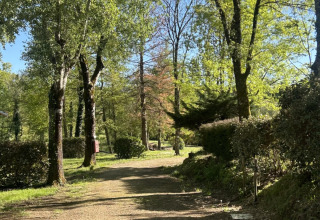 Wandelpad door het groen in vakantiepark Les Rives de Courtes, Occitanie, Frankrijk, bij lentezon.