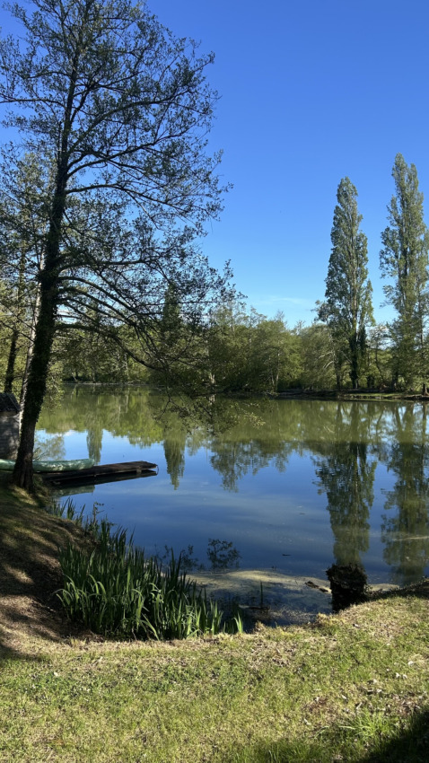 Foto van een serene vijver met bomen bij Les Rives de Courtes vakantiepark in Occitanië, Frankrijk.