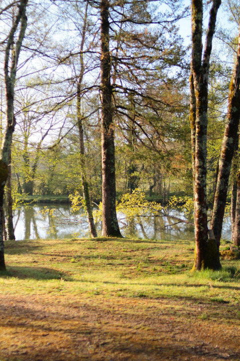 Zonnestralen door bomen aan een meer in Les Rives de Courtes vakantiepark, Occitanië, Frankrijk.