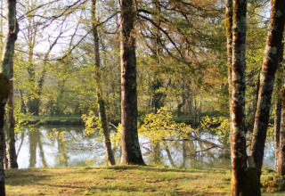 Zonnestralen door bomen aan een meer in Les Rives de Courtes vakantiepark, Occitanië, Frankrijk.