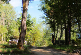 Zonnig bospad bij Les Rives de Courtes vakantiedomein in Occitanië, Frankrijk, met veel groen.
