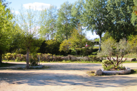 Groene omgeving met bomen bij Les Rives de Courtes vakantiepark in Occitanië, Frankrijk, op een zonnige dag.