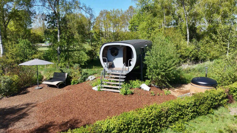 Kleines Haus namens „Anthropod“ im Holiday park 't Rheezerwold in den Niederlanden, umgeben von Natur.