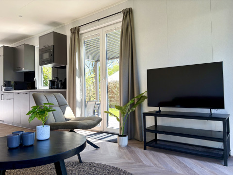 Modern tiny house living room with large windows, flat-screen TV, green plants, and open kitchen area.