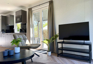 Salon moderne de tiny house avec grandes fenêtres, télévision à écran plat, plantes vertes et cuisine ouverte.