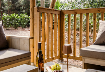 Gemütliche Safari-Zeltterrasse auf der Gooise Heide mit Wein, Snacks und Waldsicht im Hintergrund.