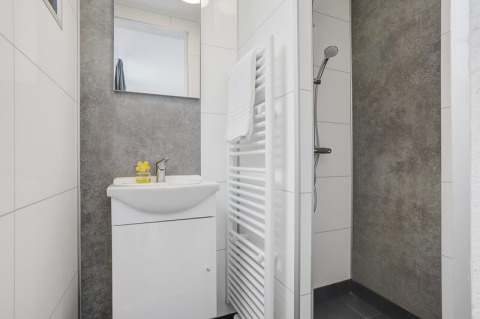 Salle de bain moderne avec douche, lavabo blanc, miroir et radiateur sèche-serviettes à Boslodge Plus.