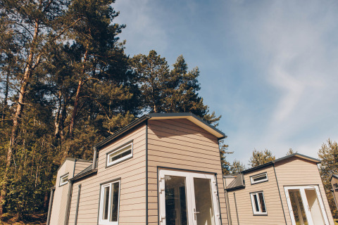 To små hytter kaldet Koya Tiny Loft ved Wilsumer Berge i Tyskland, omgivet af høje træer om dagen.