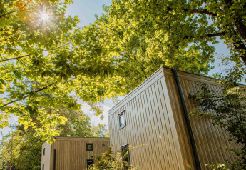 Zonlicht valt door de bomen boven tiny house Rosendael met hottub in Veluwe park de Bosgraaf, Nederland.