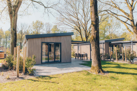 Chalets glamping modernes avec bardage en bois et terrasse, entourés d’arbres et de verdure.