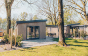 Cabine glamping moderne con rivestimento in legno e area esterna, immerse nel verde e tra gli alberi.