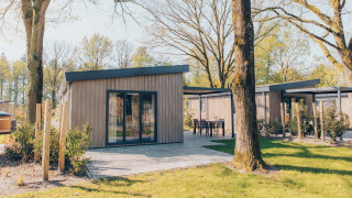 Moderne glampinghuisjes met houten gevels en terras, omringd door bomen en groen in een park.