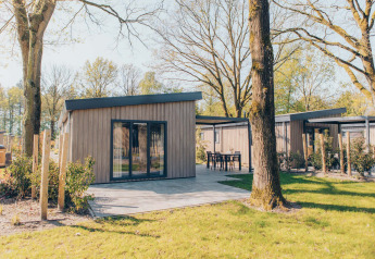 Moderne glamping-hytter med træbeklædning og udendørs siddeplads i en grøn, skovfyldt park.