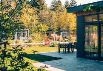 Lodges modernes et terrasse entourés de verdure et d’arbres au parc Veluwe de Bosgraaf aux Pays-Bas.