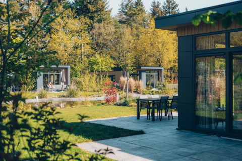 Moderne lodges en terras te midden van groen en bomen in Veluwe park de Bosgraaf, Nederland.