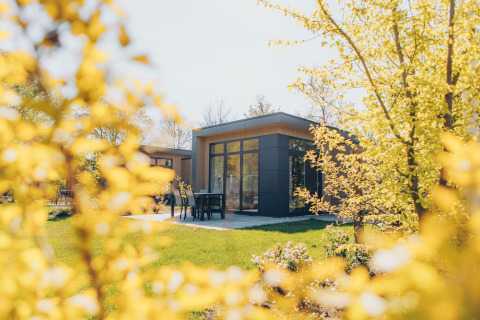 Moderno lodge 'Cannenburch' nel parco Veluwe de Bosgraaf, Paesi Bassi, tra alberi e foglie primaverili.