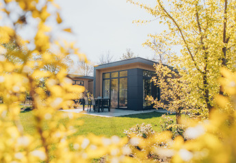 Luxe lodge 'Cannenburch' in Veluwe park de Bosgraaf, Nederland, tussen zonovergoten gele lentebladeren.