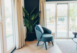 Angolo luminoso in una sistemazione glamping con poltrona comoda, pianta verde e ampie finestre esterne.