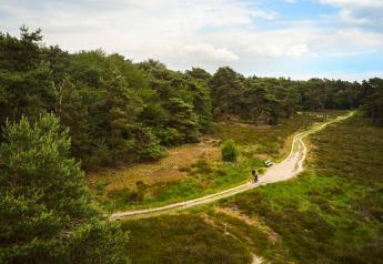 Ein verschlungener Weg durch grüne Wälder bei einer Glamping-Unterkunft mit wandernden Gästen.