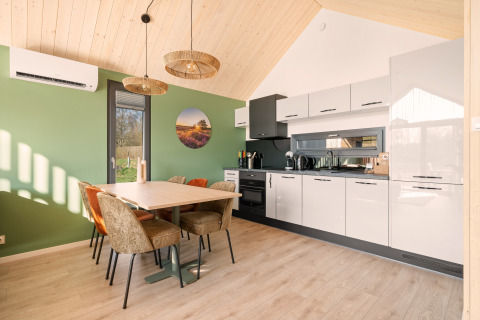 Modern kitchen and dining area in Cosy Lodge at Campsite Si-Es-An, Netherlands, with green wall and cozy decor.