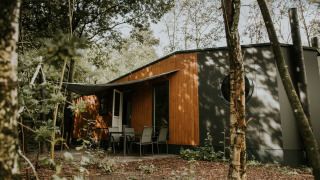 Happy Bee Lodge surrounded by trees, with modern wood and grey exterior and shaded outdoor seating area.