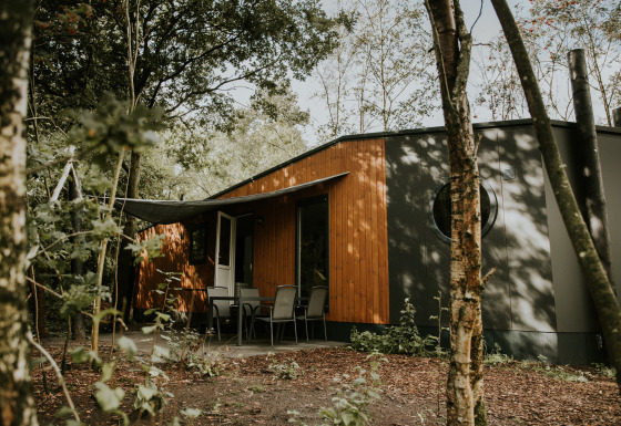 Happy Bee Lodge rodeada de árboles, exterior moderno de madera y gris con terraza y sillas al aire libre.