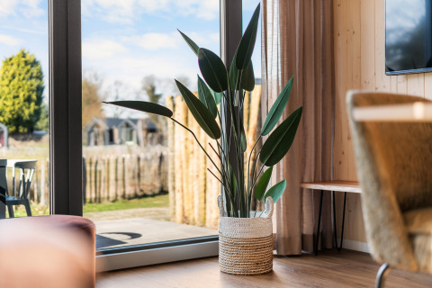 Indendørs plante i fletkurv ved glasdør i en lodge på Campingplads Si-Es-An, Reestdal, Holland.