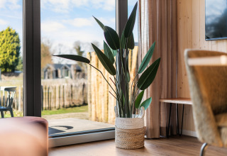 Indendørs plante i fletkurv ved glasdør i en lodge på Campingplads Si-Es-An, Reestdal, Holland.
