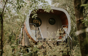 Skycabin, casa naturale al campeggio Si-Es-An nei Paesi Bassi, circondata da alberi e verde rigoglioso.