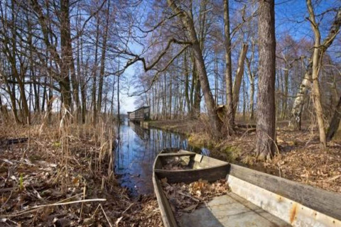 Bootje aan een bosbeekje met kale bomen bij Bungalow «50 qm 5 Pers» in Duitsland tijdens zonnig weer.