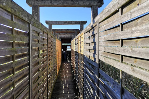 Passerella in legno al Bungalow '50 qm 5 Pers' in Germania con recinzioni sotto cielo limpido e soleggiato.