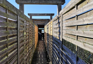 Houten wandelpad met schuttingen bij Bungalow '50 qm 5 Pers' in Duitsland onder blauwe hemel.