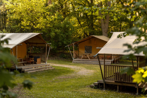 Tiendas safari con porches de madera en un camping forestal, rodeadas de árboles y luz natural.