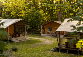 Safari-Zelte mit Holzveranda in einem bewaldeten Campingplatz, ruhige Atmosphäre bei Sonnenlicht.