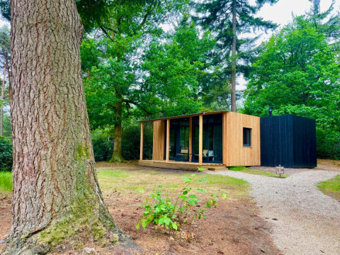 Gemütliche Waldhütte aus Holz im Grünen, umgeben von Bäumen und Natur, mit kleinem Kiesweg davor.
