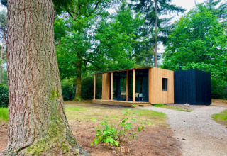 Gezellige Forest Cabin in het groen, gemaakt van hout en omringd door bomen en een grindpaadje.